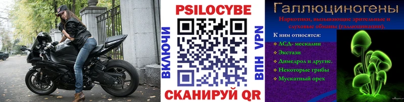 Псилоцибиновые грибы Cubensis  Новомичуринск 